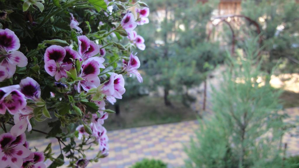 Villa Sosnovy Bor Satoka Exterior foto