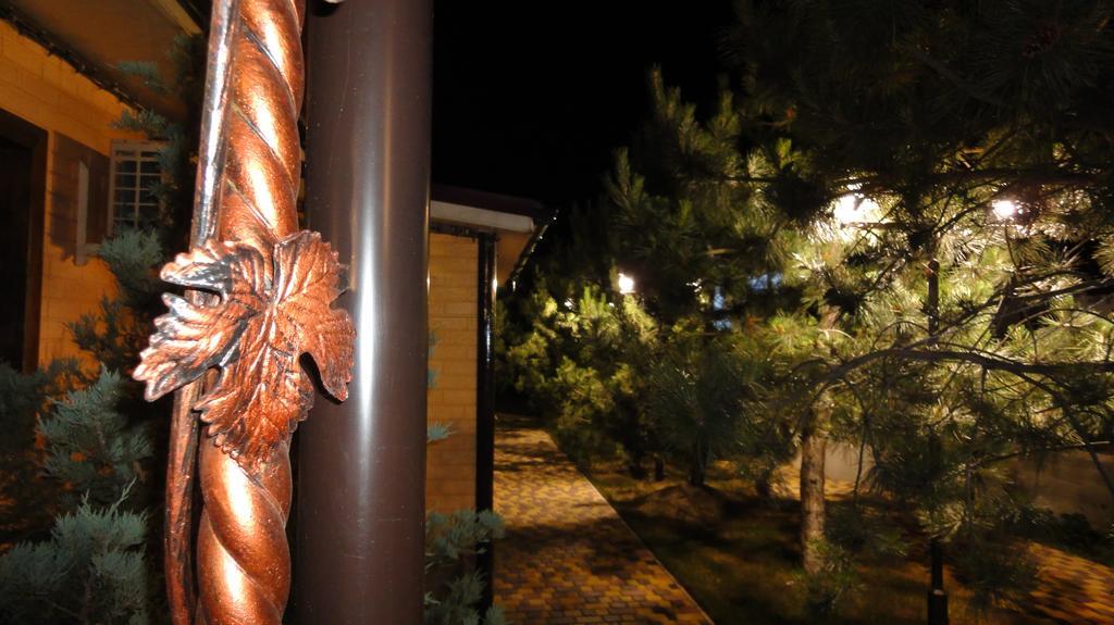 Villa Sosnovy Bor Satoka Exterior foto